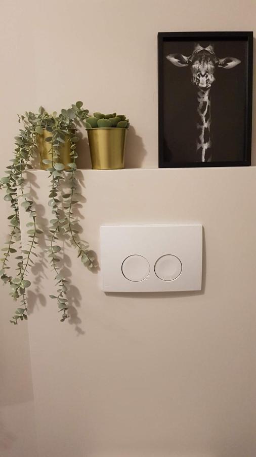 Bnb Antwerpen - Charmant Екстериор снимка